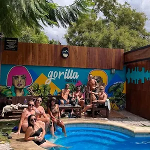 gorilla-hostel.hotelsmendoza.com/